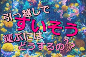 採寸は引っ越し前に トラブルを防ぐ 引っ越しの採寸のポイントは 人生を変える引っ越し術