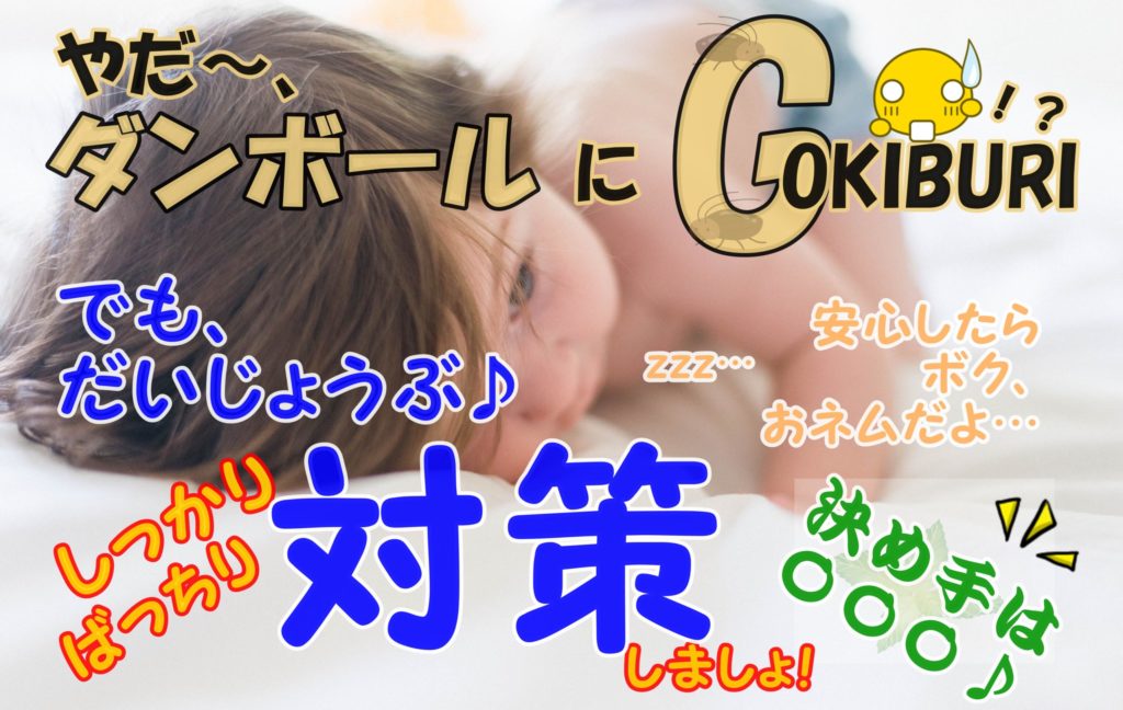 ダンボールにゴキブリが 対策編 G は でクールに撃退 人生を変える引っ越し術