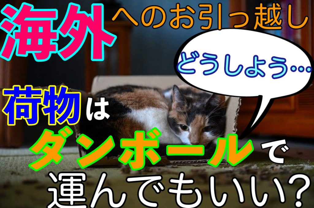 海外移住することに 荷物はどうやって運ぶ ダンボールでも大丈夫 人生を変える引っ越し術 海外移住することに 荷物はどうやって運ぶ ダンボールでも大丈夫 人生を変える引っ越し術